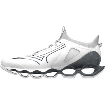 MIZUNO SPORT WAVE PROPHECY 14 Road Running - Herren